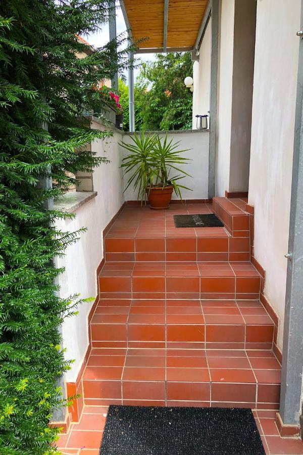 Ferienwohnung Alte Gaertnerei Thale Εξωτερικό φωτογραφία